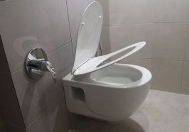 47ab5742e9f9715b9e679f01b17cf4b2feab9955